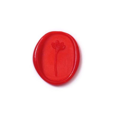 Cherry Jello Sealing Wax Beads