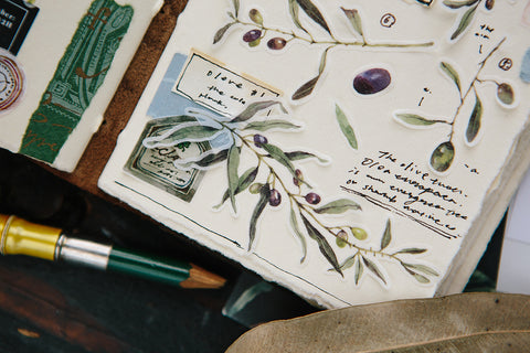 Olive Sticker Pack - OURS - misterrobinson