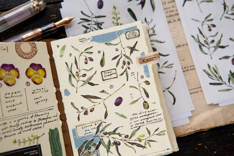 Olive Sticker Pack - OURS - misterrobinson