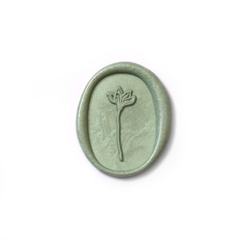 Porcelain Green Hexagon Wax Beads - Quick Melt Formula