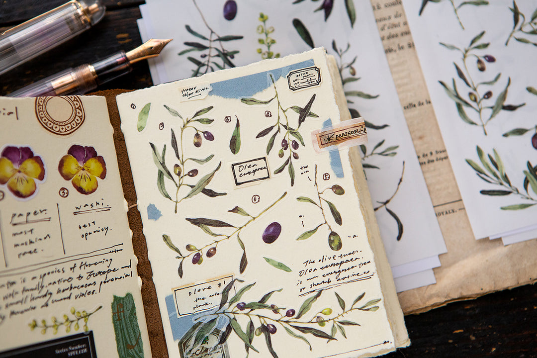 Olive Sticker Pack - OURS – misterrobinson