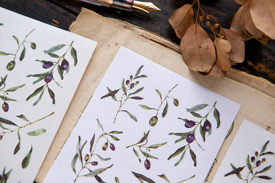 Olive Sticker Pack - OURS – misterrobinson